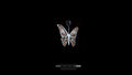 Close-up of a handcrafted .925 silver butterfly pendant with watercolor enamel wings against a black background.